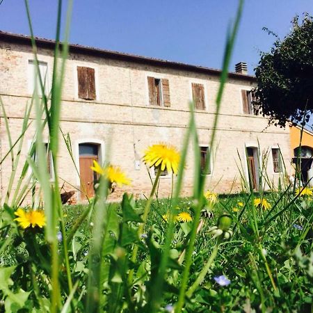 Il Rudere Bed & Breakfast Ravenna Exterior photo